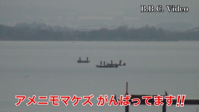 雨の止み間の琵琶湖南湖!! 湖上はガラ空きに戻りました #今日の琵琶湖（YouTube 24/02/21）