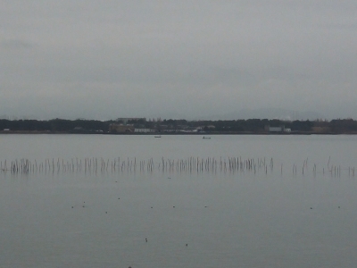 琵琶湖大橋西詰めから眺めた南湖は曇天微風のベタナギ。釣り中のボートはポツリポツリと見えるだけで湖上はガラ空きに戻りました（2月21日9時50分頃）