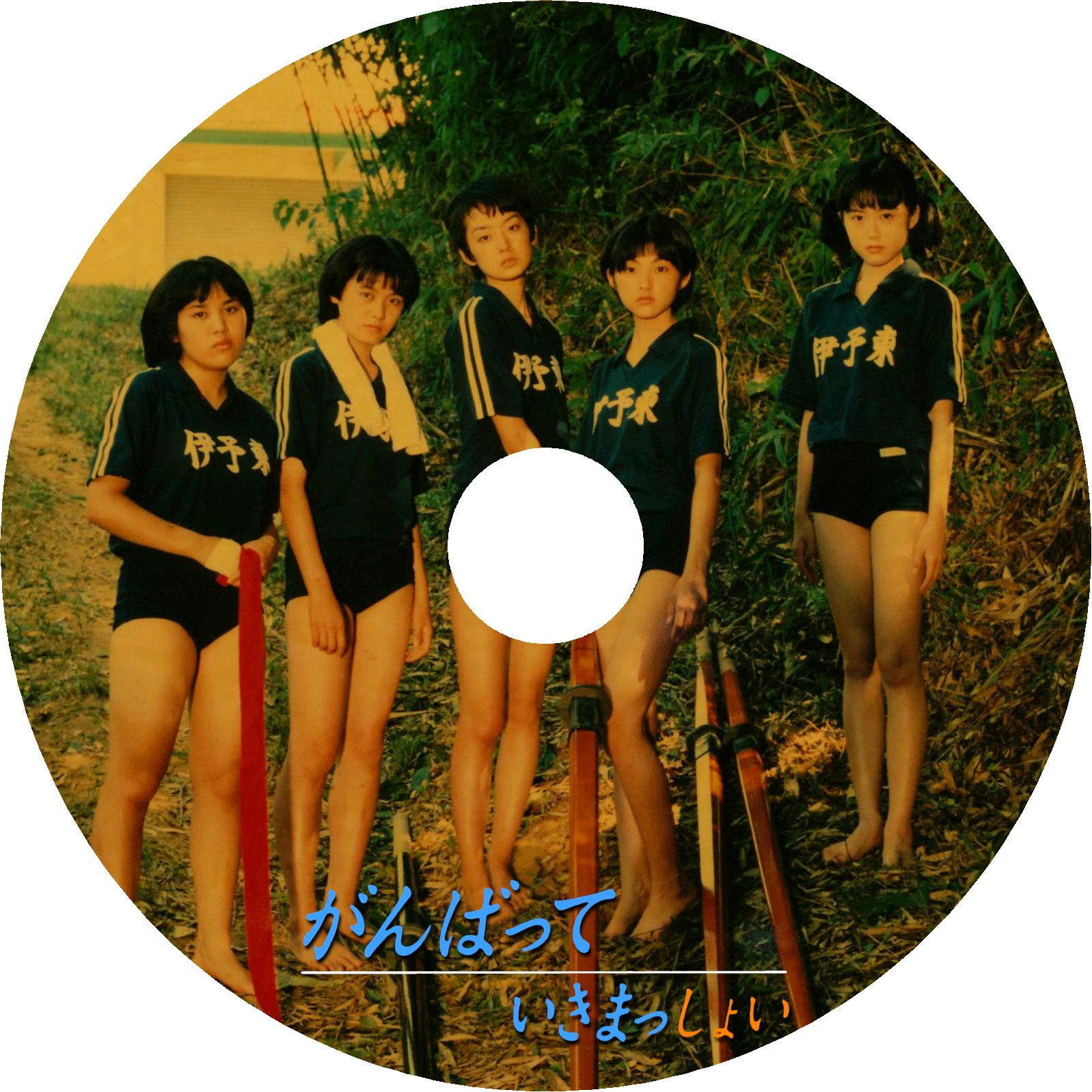 Amazon.co.jp: がんばっていきまっしょい [DVD] : 田中麗奈