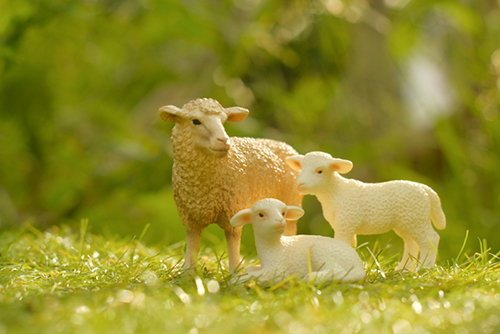 ツバキアキラが撮ったSchleich・羊の親子の写真。子羊たちだけで遊んでいたら、ママが来てくれましたよ。