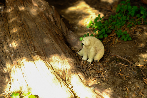 ツバキアキラが撮った、ガチャガチャ、キタンクラブ、RBEN STUDIO アニマルフィギュアマスコット。木陰でひとやすみしているシロクマさん。
