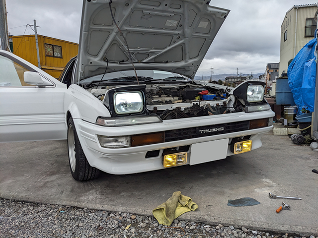 旧車 フォグランプ PIAA くすぐったい