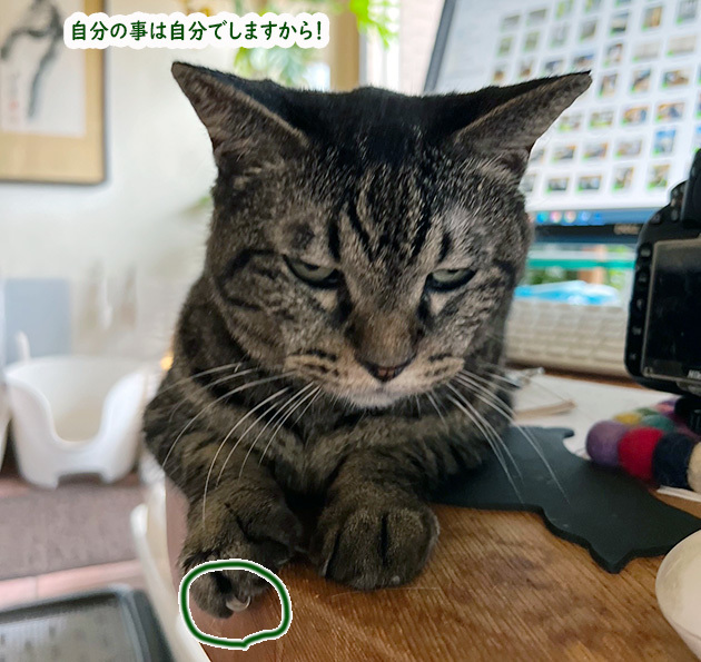 休みの目標４