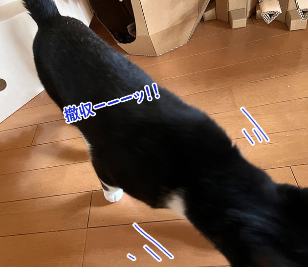 セコムより６